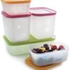 SET (5) Diepvriesdozen Plus Van Tupperware 2 SET (5) Diepvriesdozen Plus Van Tupperware -Winkel Voor Dagelijkse Benodigdheden 1103x1200 8