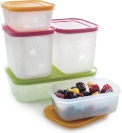 SET (5) Diepvriesdozen Plus Van Tupperware