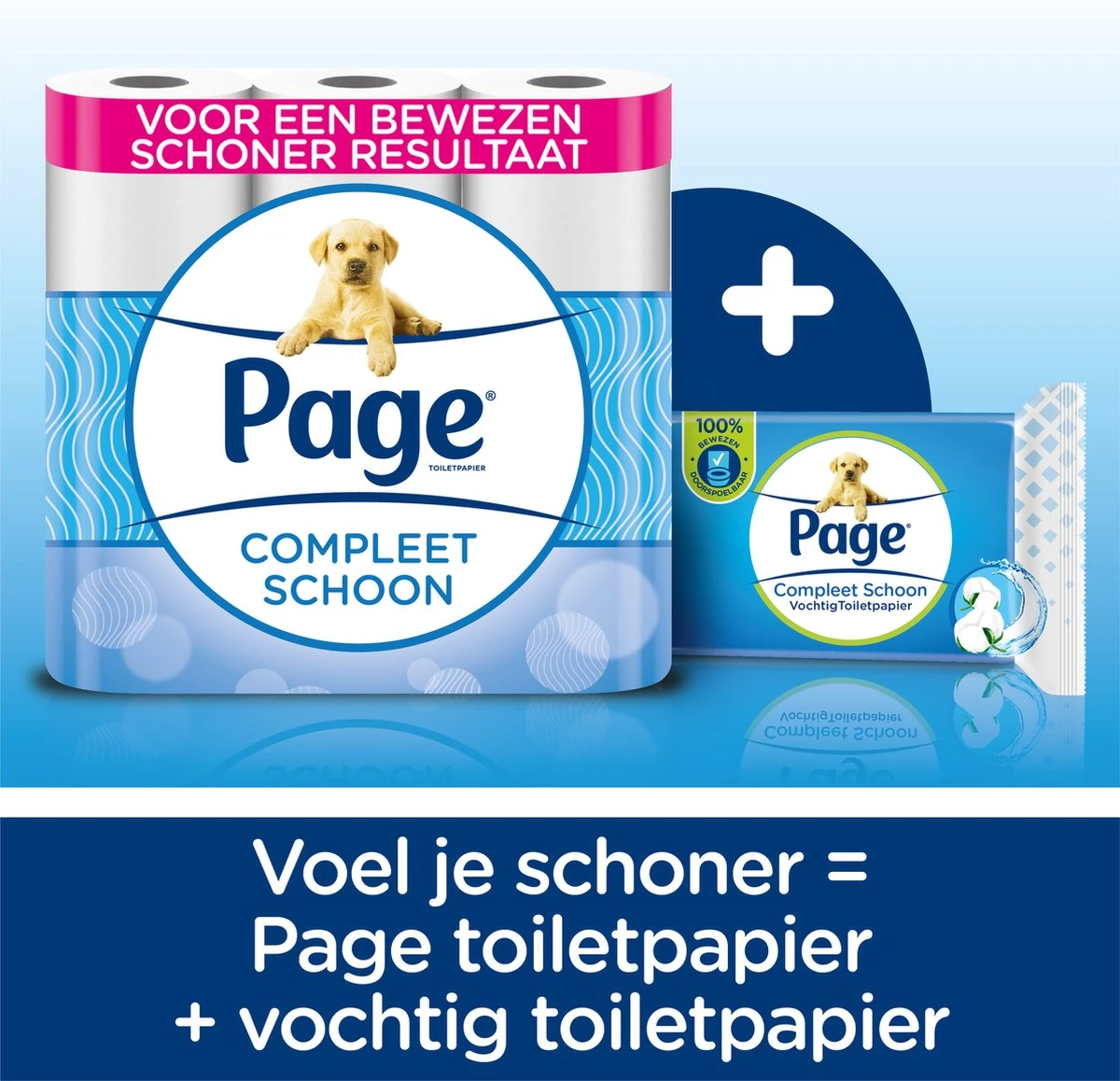 Page Wc Papier - Compleet Schoon Toiletpapier - 16 Rollen 4 Page Wc Papier - Compleet Schoon Toiletpapier - 16 Rollen - Afbeelding 2