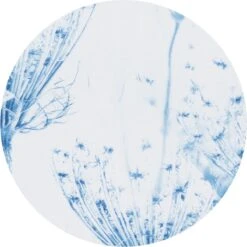 Brabantia Strijkplankhoes C - 124 X 45 Cm - Complete Set - Cotton Flower 11 Brabantia Strijkplankhoes C - 124 X 45 Cm - Complete Set - Cotton Flower -Winkel Voor Dagelijkse Benodigdheden 1200x1199 53