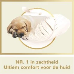 Page Puur Toiletpapier - 24 Rollen - Extra Duurzaam Wc Papier - Voordeelverpakking 13 Page Puur Toiletpapier - 24 Rollen - Extra Duurzaam Wc Papier - Voordeelverpakking -Winkel Voor Dagelijkse Benodigdheden 1200x1200 3067