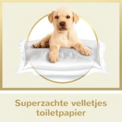 Page Puur Toiletpapier - 24 Rollen - Extra Duurzaam Wc Papier - Voordeelverpakking 15 Page Puur Toiletpapier - 24 Rollen - Extra Duurzaam Wc Papier - Voordeelverpakking -Winkel Voor Dagelijkse Benodigdheden 1200x1200 3068