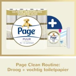 Page Puur Toiletpapier - 24 Rollen - Extra Duurzaam Wc Papier - Voordeelverpakking 17 Page Puur Toiletpapier - 24 Rollen - Extra Duurzaam Wc Papier - Voordeelverpakking -Winkel Voor Dagelijkse Benodigdheden 1200x1200 3070