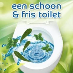 Witte Reus Pro Nature Munt Eucalyptus - 10 Stuks -Winkel Voor Dagelijkse Benodigdheden 1200x1200 3790