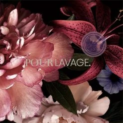 Lavayette Premium Wasparfum - Jasmin Shades - Geurbooster 500ml (Diamante) 14 Lavayette Premium Wasparfum - Jasmin Shades - Geurbooster 500ml (Diamante) -Winkel Voor Dagelijkse Benodigdheden 1200x1200 637