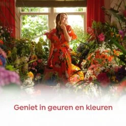 Robijn Klein & Krachtig Rosé Chique Vloeibaar Wasmiddel - 8 X 19 Wasbeurten - Voordeelverpakking 12 Robijn Klein & Krachtig Rosé Chique Vloeibaar Wasmiddel - 8 X 19 Wasbeurten - Voordeelverpakking -Winkel Voor Dagelijkse Benodigdheden 1200x1200 83