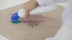 Dr. Beckmann Tapijtvlekkenborstel - Tapijtreiniging - Tapijt Vlekverwijderaar Met Borstel - Schoon Tapijt - Dierenvlekkenverwijderaar -Winkel Voor Dagelijkse Benodigdheden 1200x674