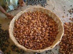 Wasnoten 750gr Met Waszakje - Zeepnoten - Natuurlijk Wassen -Winkel Voor Dagelijkse Benodigdheden 1200x900