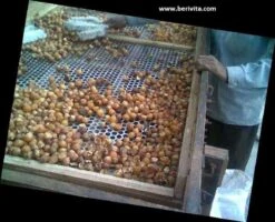 Wasnoten 750gr Met Waszakje - Zeepnoten - Natuurlijk Wassen -Winkel Voor Dagelijkse Benodigdheden 1200x973