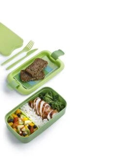 Curver Lunch&Go - Vershouddoos - Lunchbox - Inclusief Bestek - 2/3 Compartimenten - Groen 20 Curver Lunch&Go - Vershouddoos - Lunchbox - Inclusief Bestek - 2/3 Compartimenten - Groen -Winkel Voor Dagelijkse Benodigdheden 900x1200 5